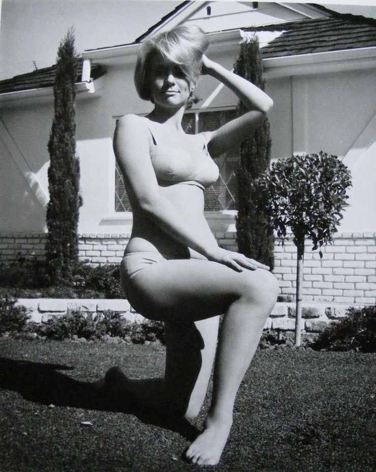 Inger Stevens Inger Stevens