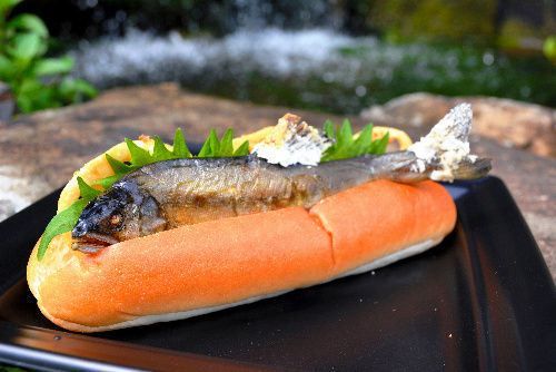 Fish Dog