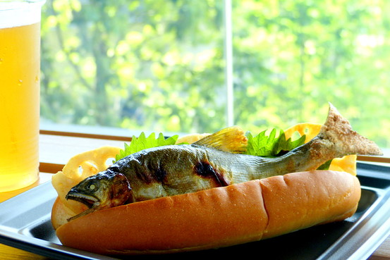 Fish Dog