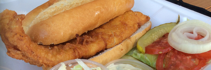 Fish Dog Fish Dog