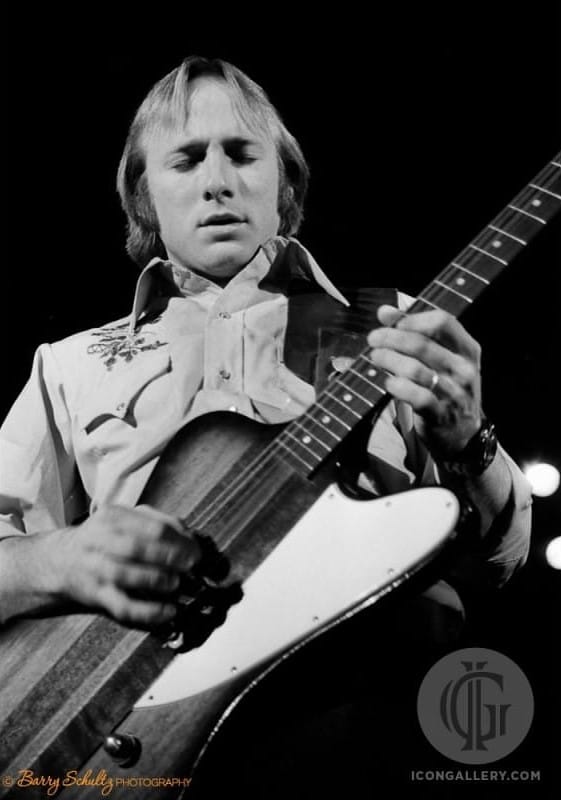 Picture of Stephen Stills