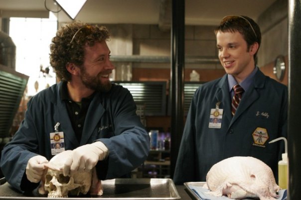 Bones