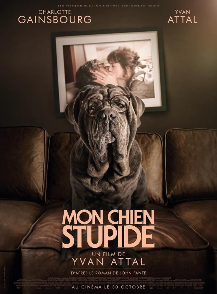 Mon chien stupide (2019)