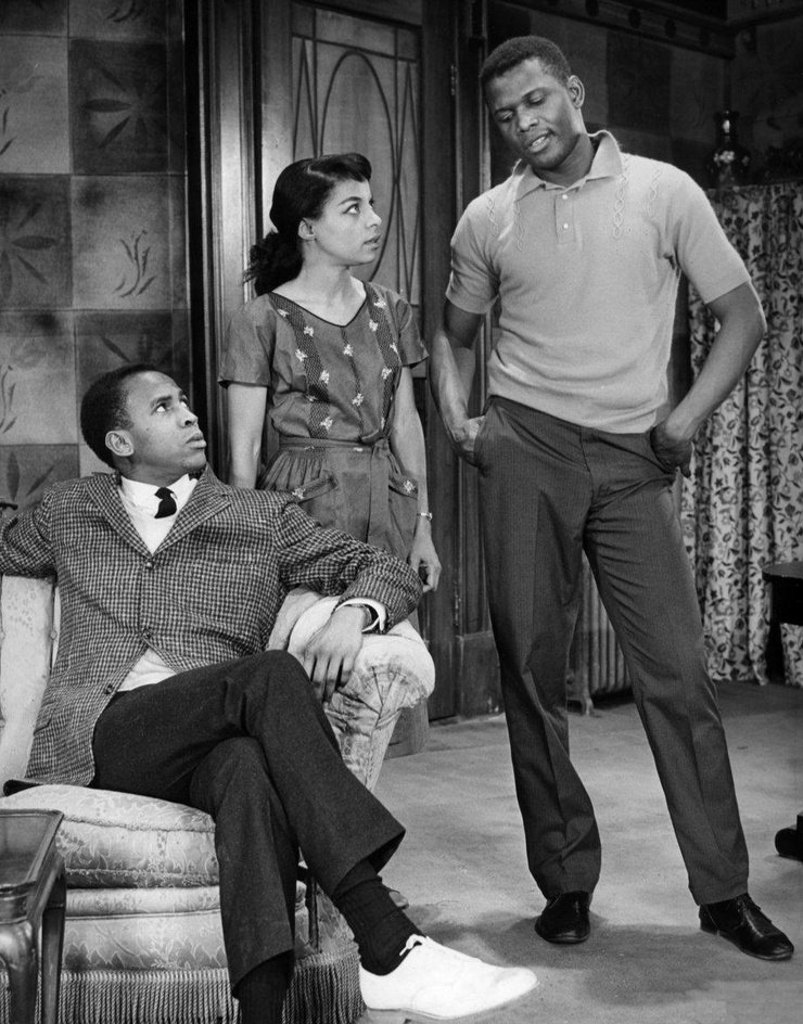Picture of A Raisin in the Sun