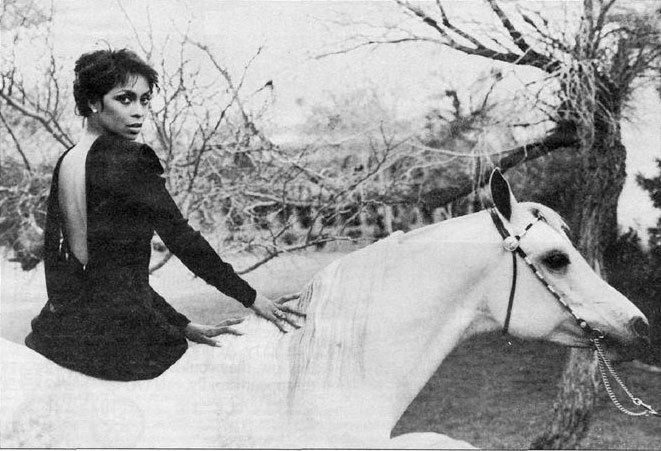 Lola Falana Lola Falana