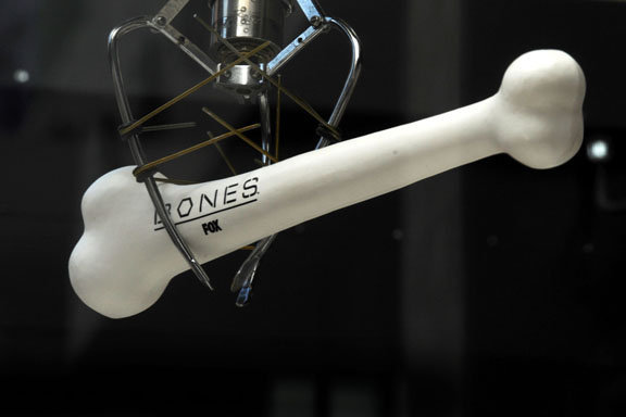 Bones