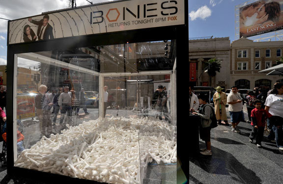 Bones
