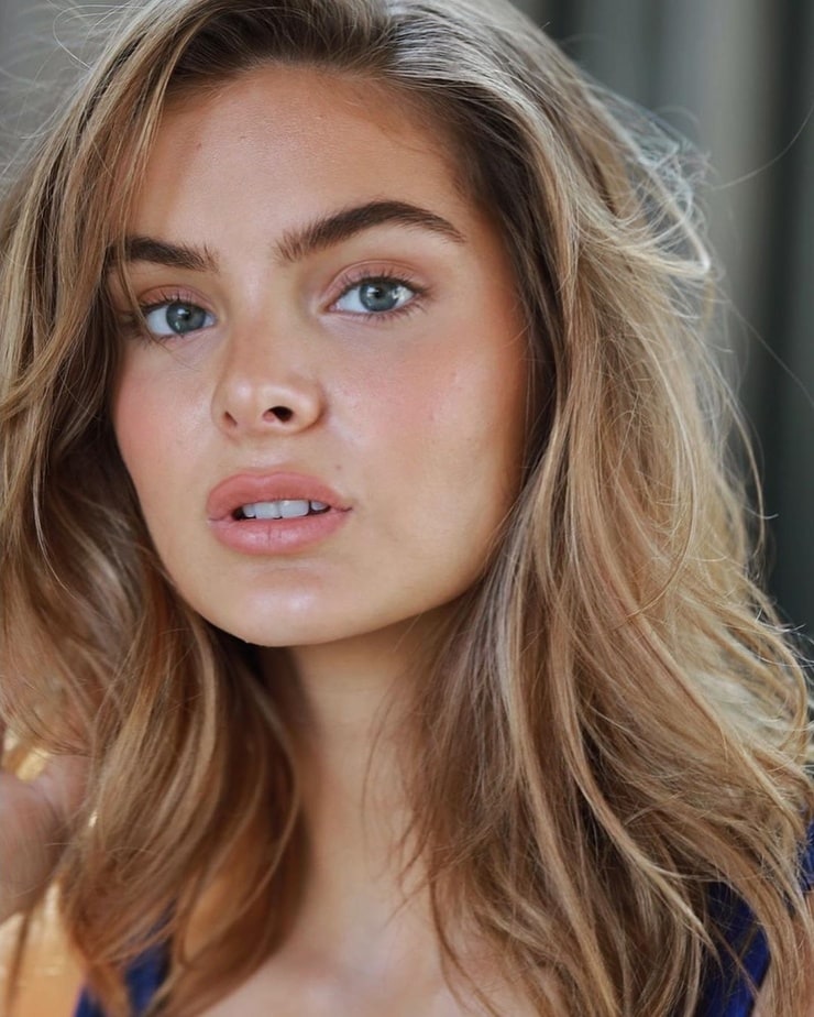 Brighton Sharbino