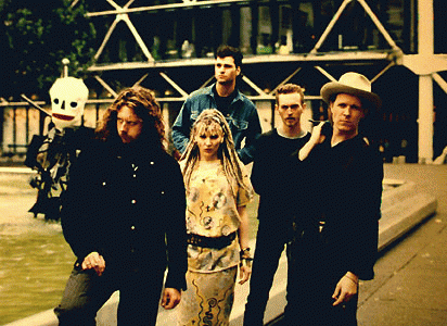 Swans