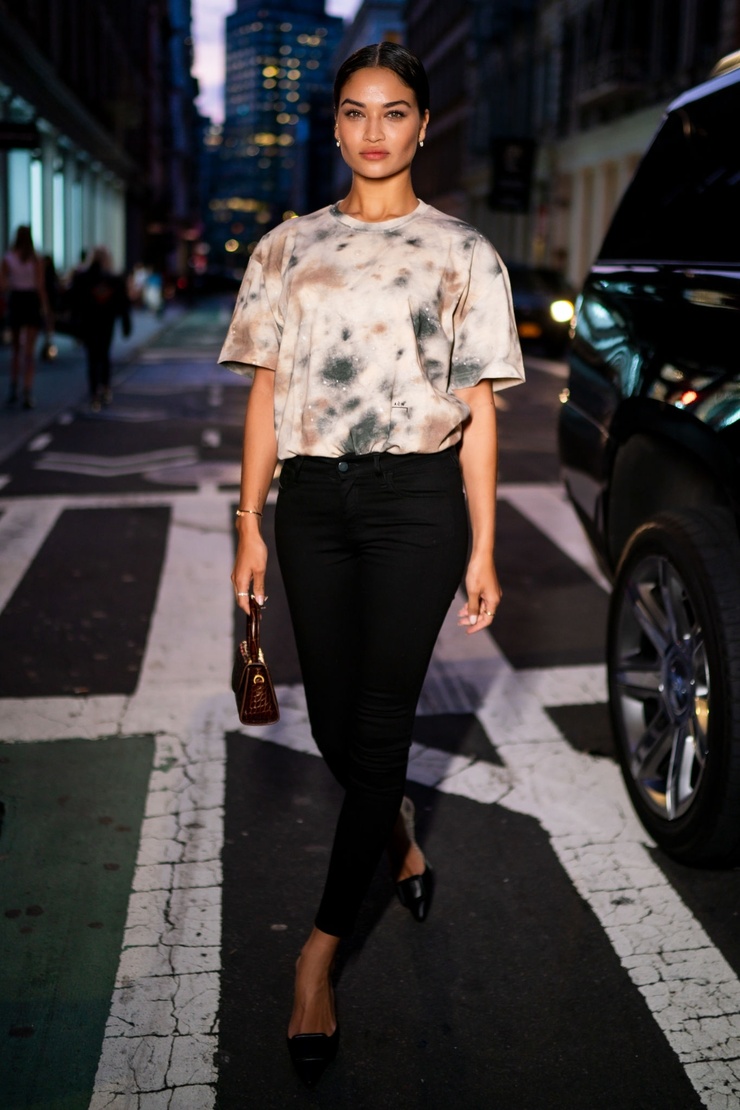 Shanina Shaik