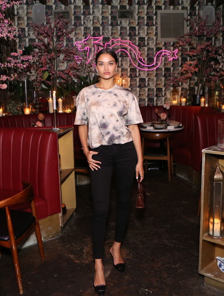 Shanina Shaik