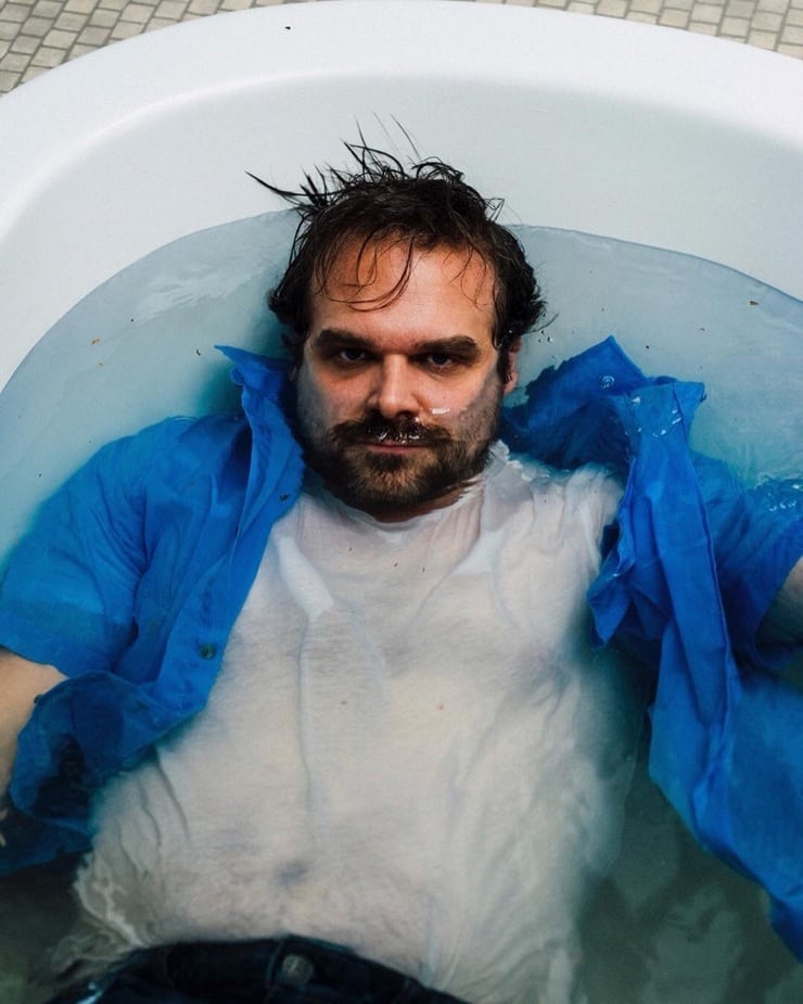 David Harbour