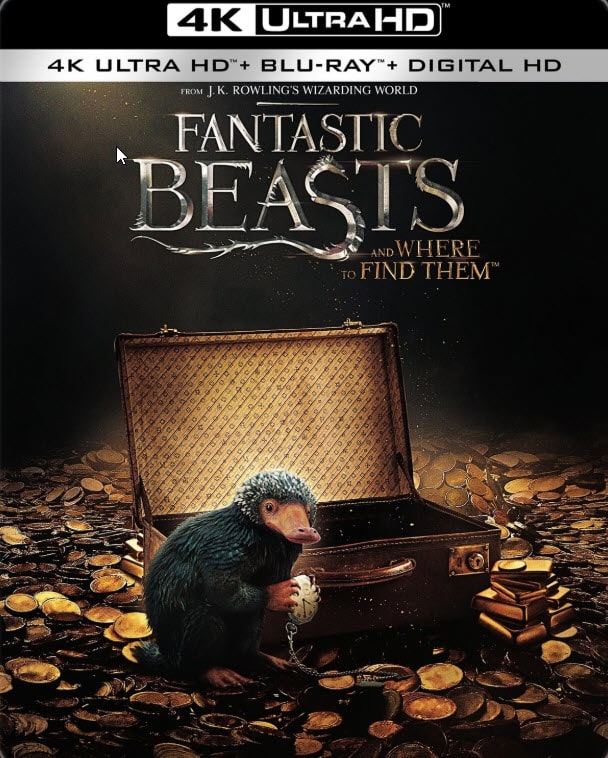 Fantastic Beasts and Where to Find Them Steelbook (4K Ultra HD+ Blu-ray + Digital HD)