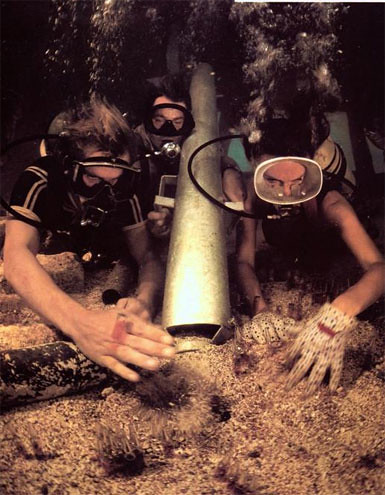 The Deep