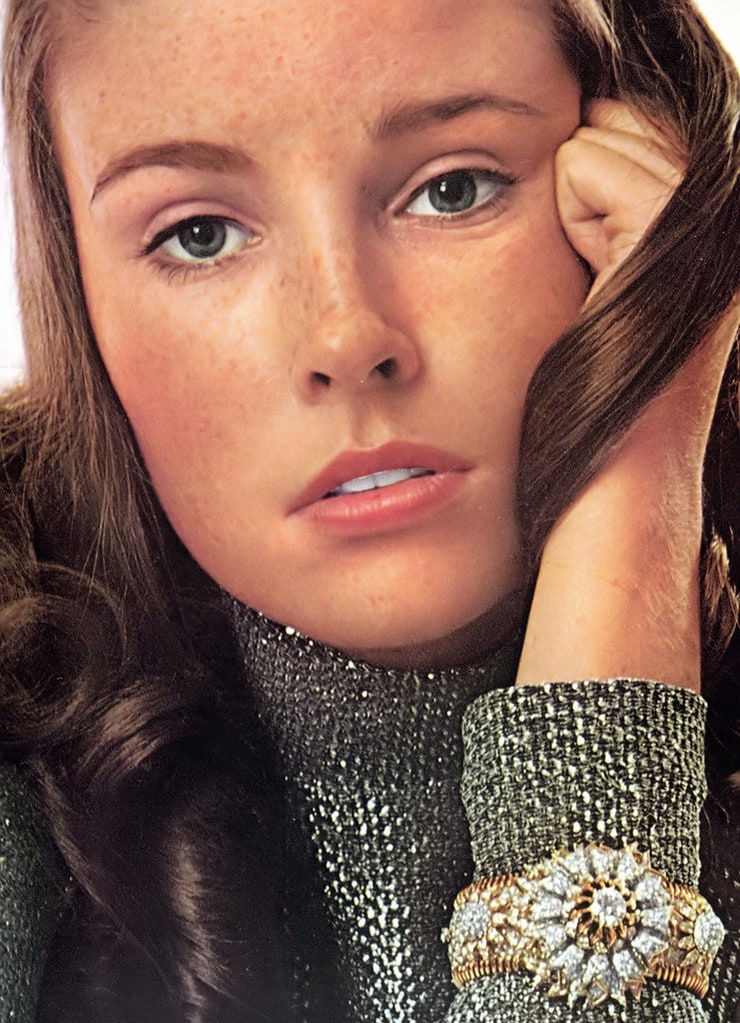 Lisa Palmer (model)