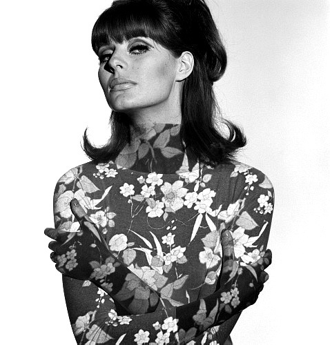 Paulene Stone