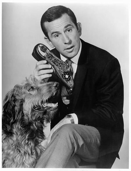 Don Adams