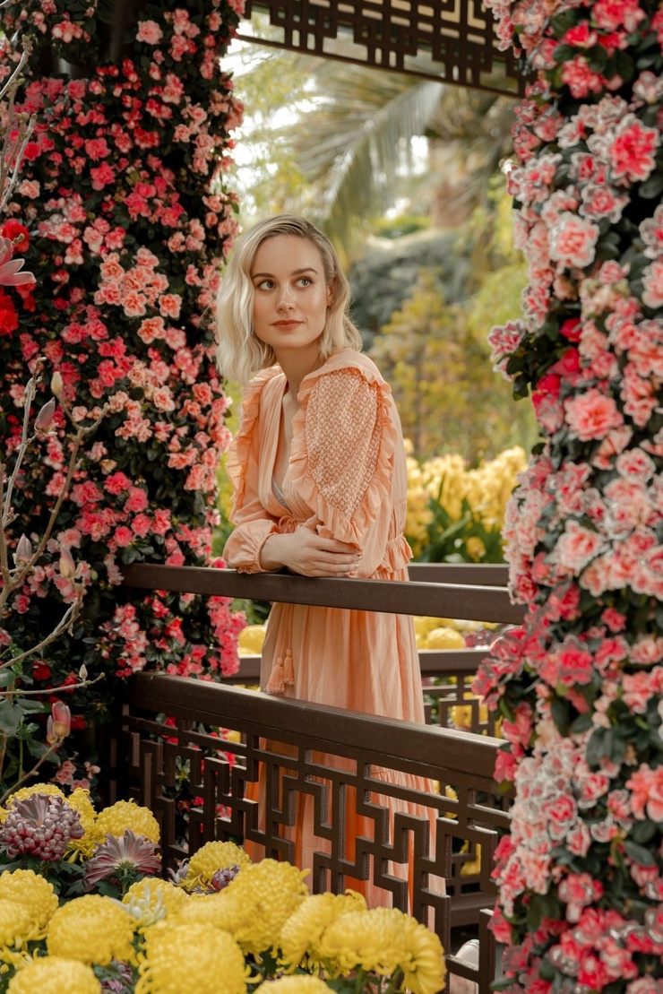 Brie Larson Brie Larson