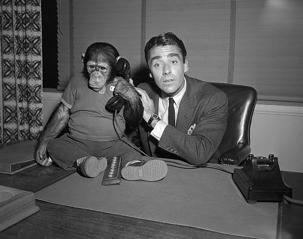 Peter Lawford
