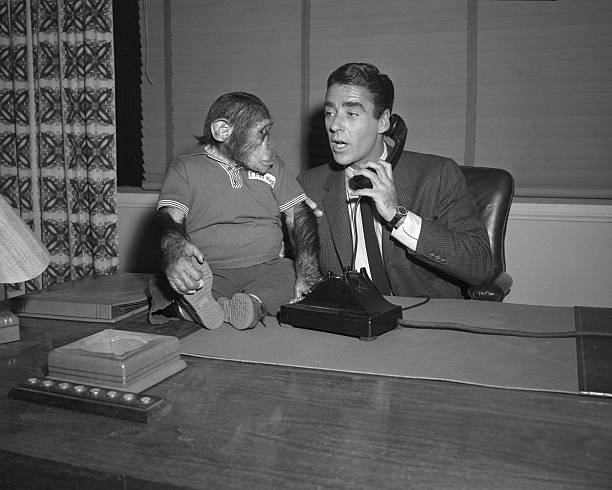 Peter Lawford