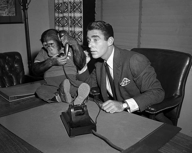 Peter Lawford