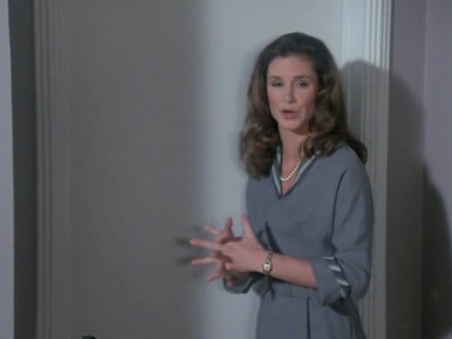 Remington Steele (1982-87)