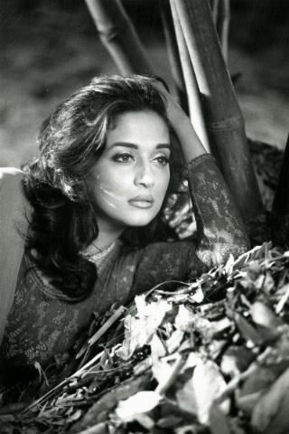 Madhuri Dixit