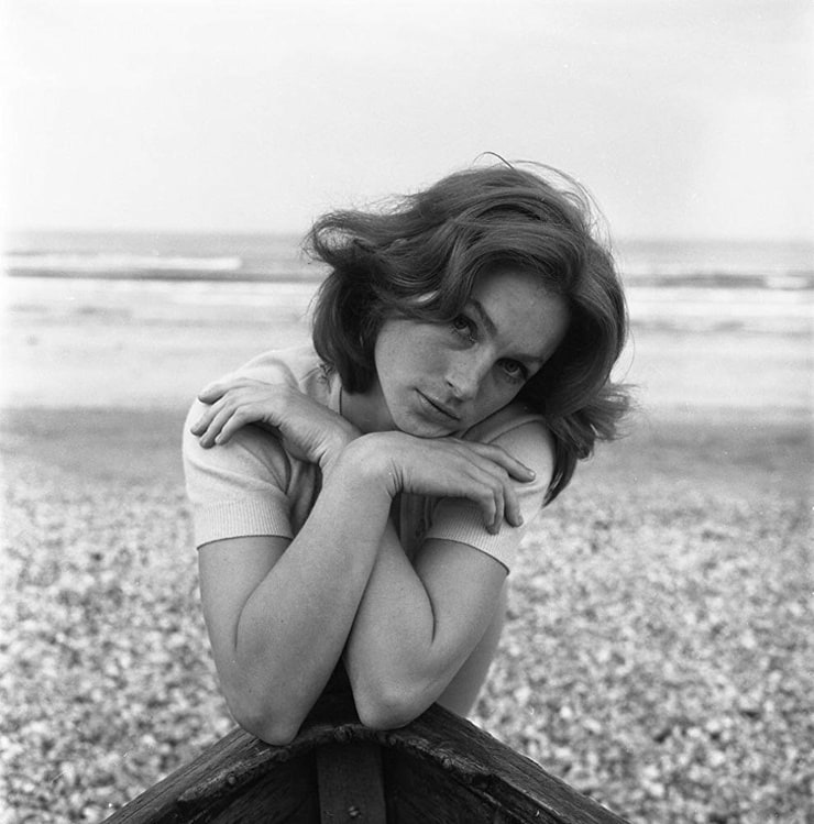 Shirley Anne Field