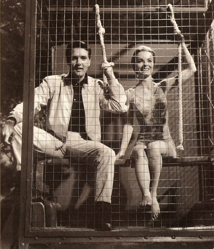 Joan Freeman