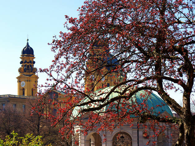 Munich (München)