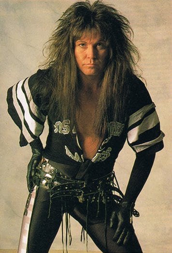 W.A.S.P. image