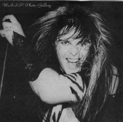W.A.S.P.