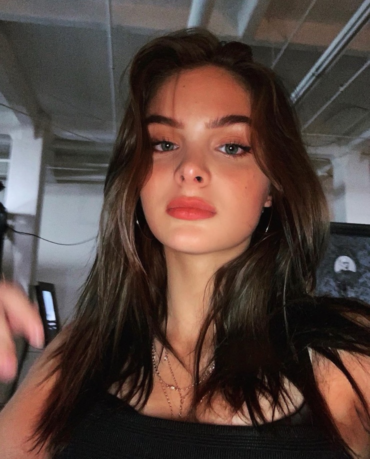 Brighton Sharbino