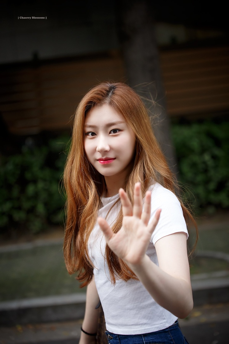 Lee Chaeryeong