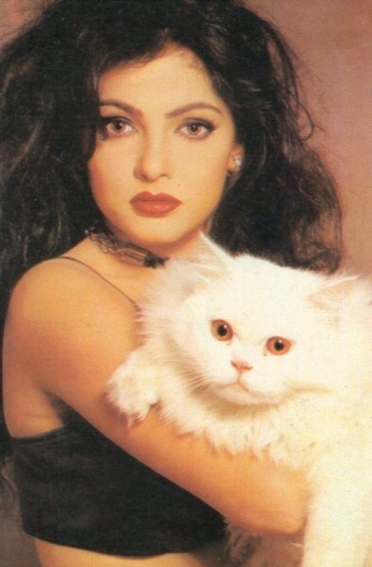 Mamta Kulkarni