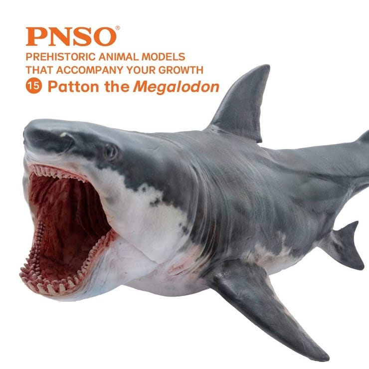 PNSO Prehistoric Animal Models Patton The Megalodon 6.2