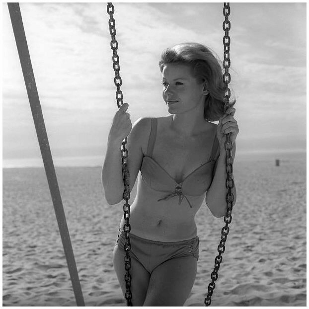 Sharon Farrell