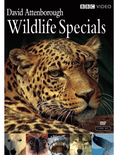 Wildlife Specials