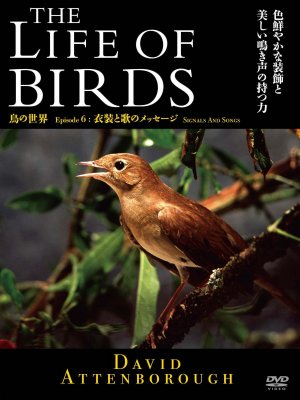 The Life of Birds