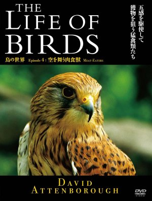 The Life of Birds