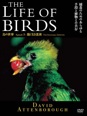 The Life of Birds