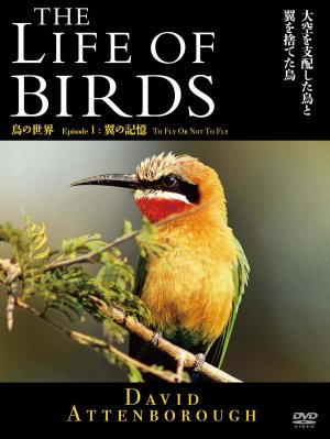 The Life of Birds