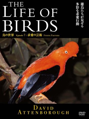 The Life of Birds