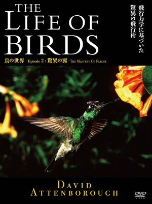 The Life of Birds