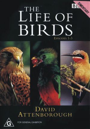 The Life of Birds