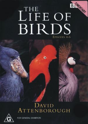 The Life of Birds
