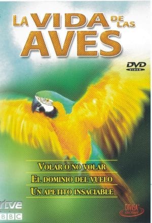 The Life of Birds