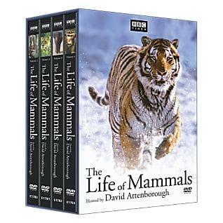 The Life of Mammals