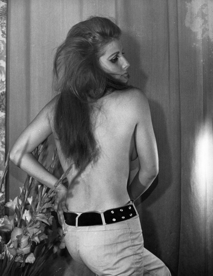 Donna Michelle