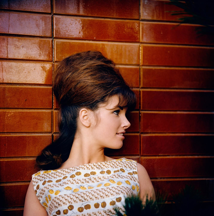 Lynn Winchell